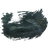Beehive Husk
