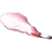 Raw Rabbit Leg