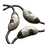 Axolotl