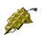Chitin