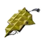 Chitin
