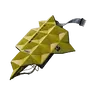 Chitin