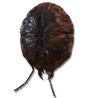 Ant's Skull Plate