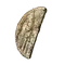 Elden-ring haligtree-secret-medallion-left.webp