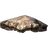 Chitin Plate
