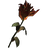 Red Mountain Flower
