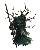 The Bog Witch