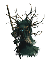 The Bog Witch