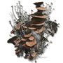 Elden-ring mushroom-body.webp