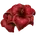 Elden-ring sanguine-amaryllis.webp