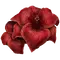 Elden-ring sanguine-amaryllis.webp