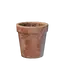 Small Plant Pot