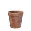 Small Plant Pot