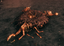 Volture Nest