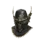 Winged Sallet