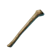 Bones