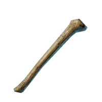 Bones