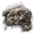 Elden-ring fly-mold.webp