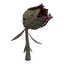 Vicious Vine
