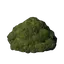 Blackmire Dirt