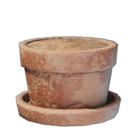 Low Large Plant Pot