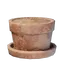 Low Large Plant Pot