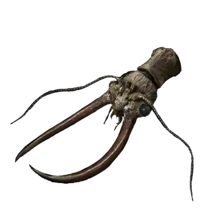 Great Dragonfly Head