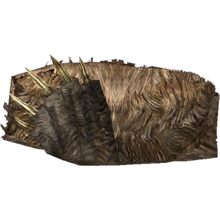 Bear Pelt
