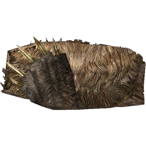 File:Skyrim Bear Pelt.webp