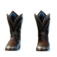Mystic Boots