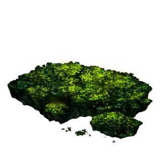 Cave Moss
