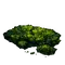 Elden-ring cave-moss.webp