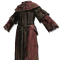 Elden-ring sage-robe.webp
