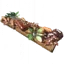 Swamp Dweller's Delight