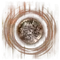 Elden-ring crimsonburst-dried-tear.webp