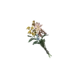 Dragon's Dogma 2 Bunch of Flowers.webp