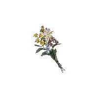 Bunch of Flowers