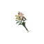 Bunch of Flowers