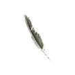 Dragon's Dogma 2 Griffin Pinion.webp