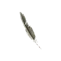 Griffin Pinion