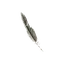 Griffin Pinion