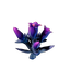 Glimmer Gentian