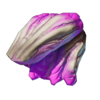 Pink Mushroom Meat