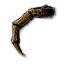 Giant Centipede Mandible