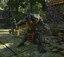 Drak Warrior