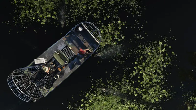 Grassrivers