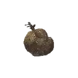 Dragon's Dogma 2 Ripened Harspud.webp