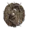 Elden-ring rickety-shield.webp