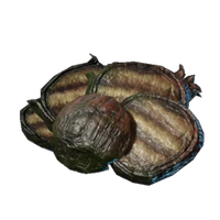 Grilled Algae Buds