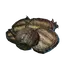 Grilled Algae Buds